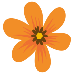 Blume, Illustration
